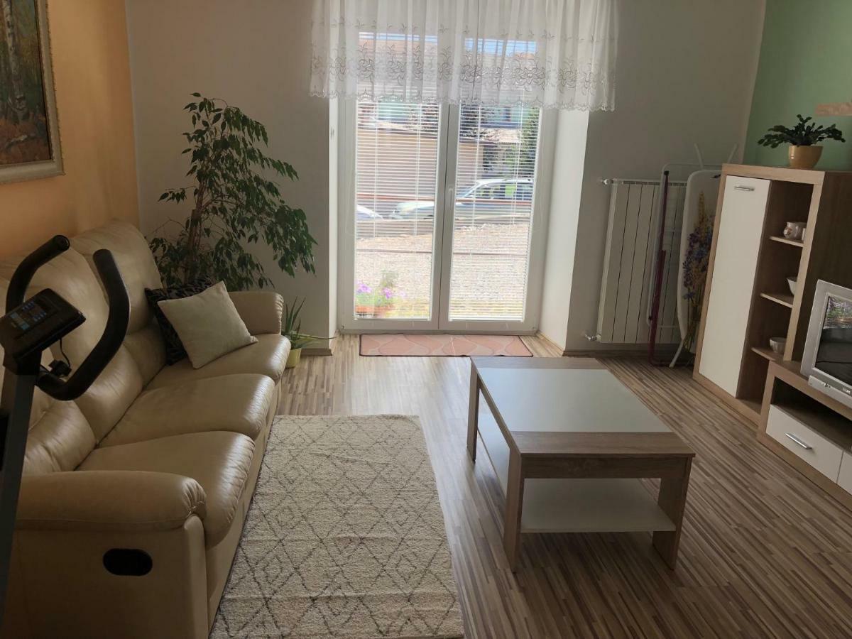 Apartma Mahnic Postojna Dış mekan fotoğraf