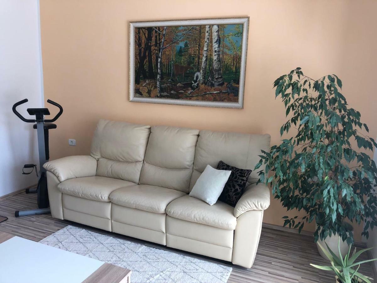Apartma Mahnic Postojna Dış mekan fotoğraf